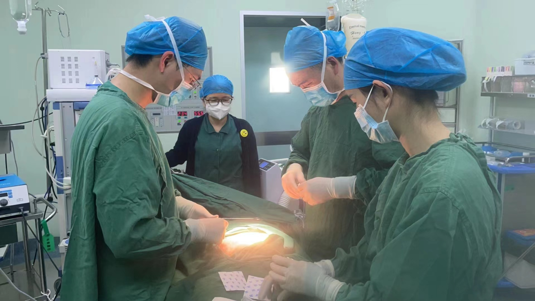 20230329325019.png 20230329325019.png